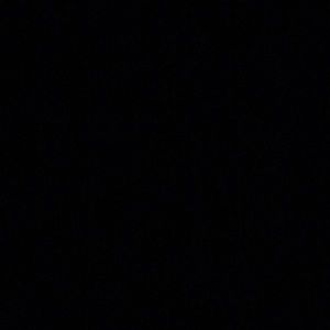 Meet your Posher, Amelia